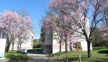 Logements T2  - Résidence Le Saint-Amand